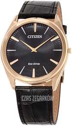 Citizen Eco Drive 180 Czarny/Skóra Ø39 mm AR3073-06E