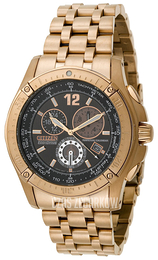 Citizen Perpetual Calendar Czarny/Stal w kolorze różowego złota Ø46 mm BL5373-53E