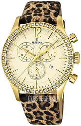 Festina Szampański/Skóra Ø41 mm F16605-6