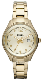 Fossil Flight Żółte złoto/Stal w odcieniu złota Ø32 mm AM4365