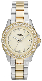 Fossil Zloty/Stal Ø36 mm AM4524