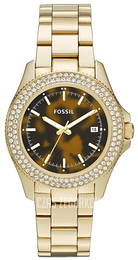 Fossil Brązowy/Pozlacana Ø36 mm AM4526