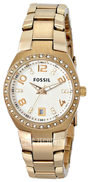 Fossil Szampański/Stal w odcieniu złota Ø28 mm AM4557