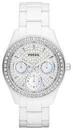 Fossil Zestaw kryształów/Żywica z tworzywa sztucznego Ø36 mm ES3095