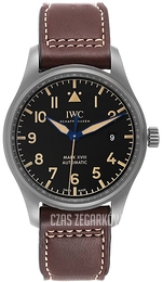 IWC Pilots Szary/Skóra Ø40 mm IW327006