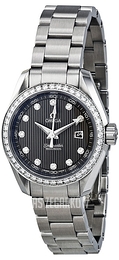Omega Seamaster Aqua Terra Jewellery Szary/Stal Ø30 mm 231.15.30.61.56.001