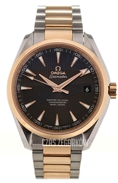 Omega Seamaster Aqua Terra 150m Master Co-Axial 41.5mm Szary/Stal Ø41.5 mm 231.20.42.21.06.003