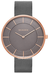 Skagen Gitte Szary/Stal Ø38 mm SKW2584