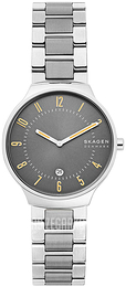 Skagen Grenen Szary/Stal Ø38 mm SKW6523