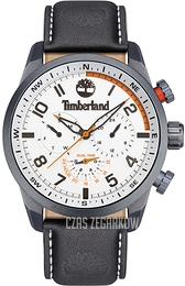 Timberland Forestdale Srebrny/Skóra Ø47 mm TDWJF2000703